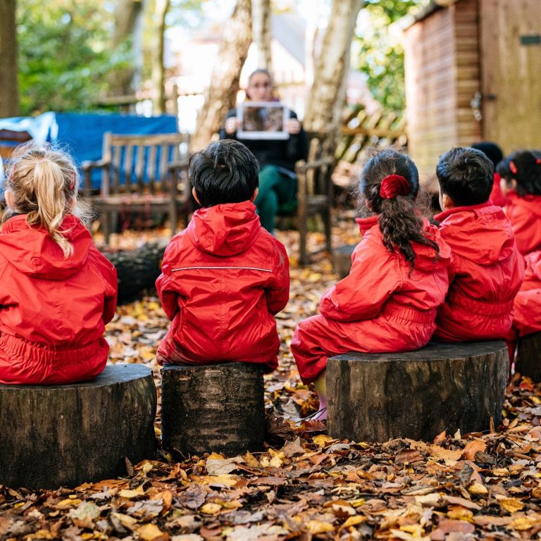 pupils sitting on logs